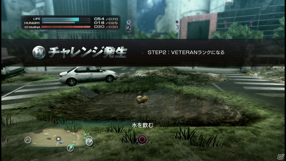 【サマゲー2012】PS3「TOKYO JUNGLE」人類が姿を消した東京で生き抜くサバイバルアクションを紹介！ポメだってテリアだってヒヨコだって凶暴なんだゾ！の画像117
