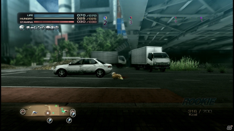 【サマゲー2012】PS3「TOKYO JUNGLE」人類が姿を消した東京で生き抜くサバイバルアクションを紹介！ポメだってテリアだってヒヨコだって凶暴なんだゾ！の画像118