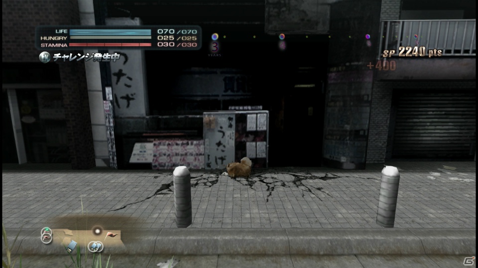 【サマゲー2012】PS3「TOKYO JUNGLE」人類が姿を消した東京で生き抜くサバイバルアクションを紹介！ポメだってテリアだってヒヨコだって凶暴なんだゾ！の画像119