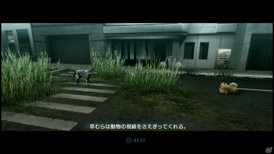 【サマゲー2012】PS3「TOKYO JUNGLE」人類が姿を消した東京で生き抜くサバイバルアクションを紹介！ポメだってテリアだってヒヨコだって凶暴なんだゾ！の画像12
