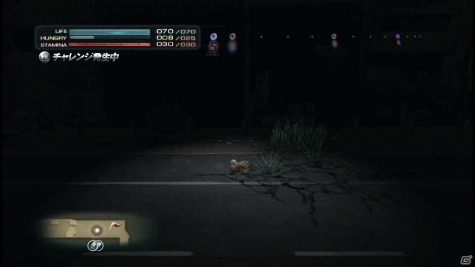 【サマゲー2012】PS3「TOKYO JUNGLE」人類が姿を消した東京で生き抜くサバイバルアクションを紹介！ポメだってテリアだってヒヨコだって凶暴なんだゾ！の画像129