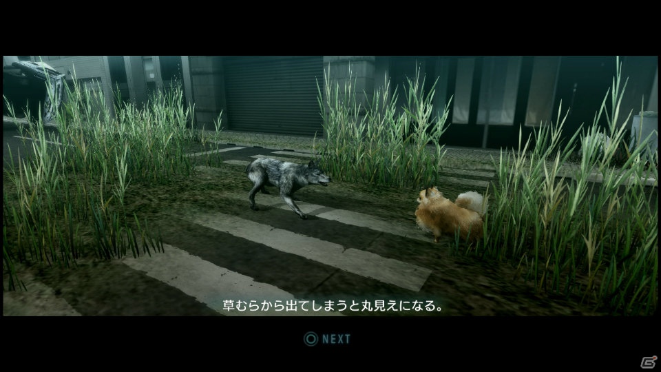【サマゲー2012】PS3「TOKYO JUNGLE」人類が姿を消した東京で生き抜くサバイバルアクションを紹介！ポメだってテリアだってヒヨコだって凶暴なんだゾ！の画像13