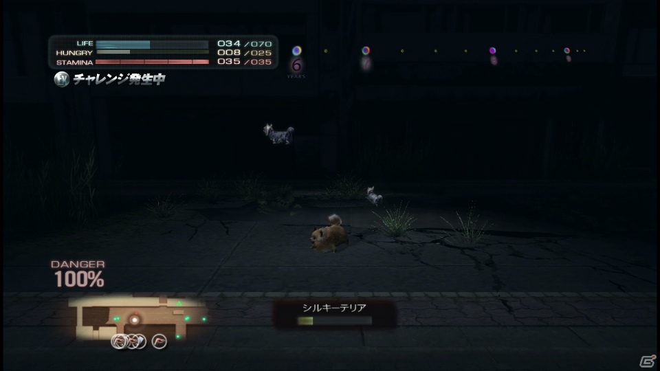 【サマゲー2012】PS3「TOKYO JUNGLE」人類が姿を消した東京で生き抜くサバイバルアクションを紹介！ポメだってテリアだってヒヨコだって凶暴なんだゾ！の画像132