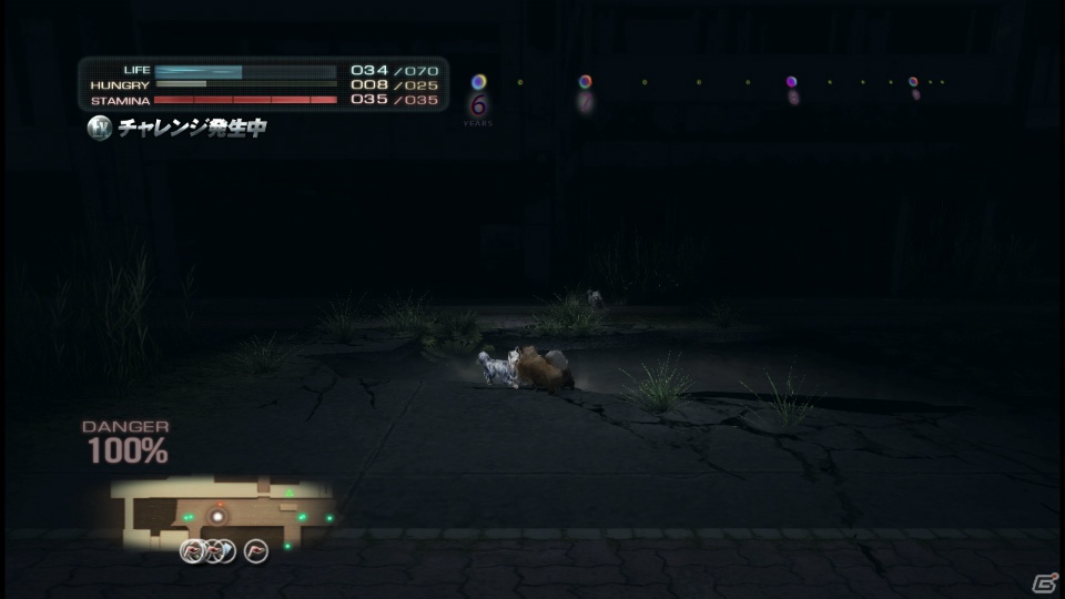 【サマゲー2012】PS3「TOKYO JUNGLE」人類が姿を消した東京で生き抜くサバイバルアクションを紹介！ポメだってテリアだってヒヨコだって凶暴なんだゾ！の画像133