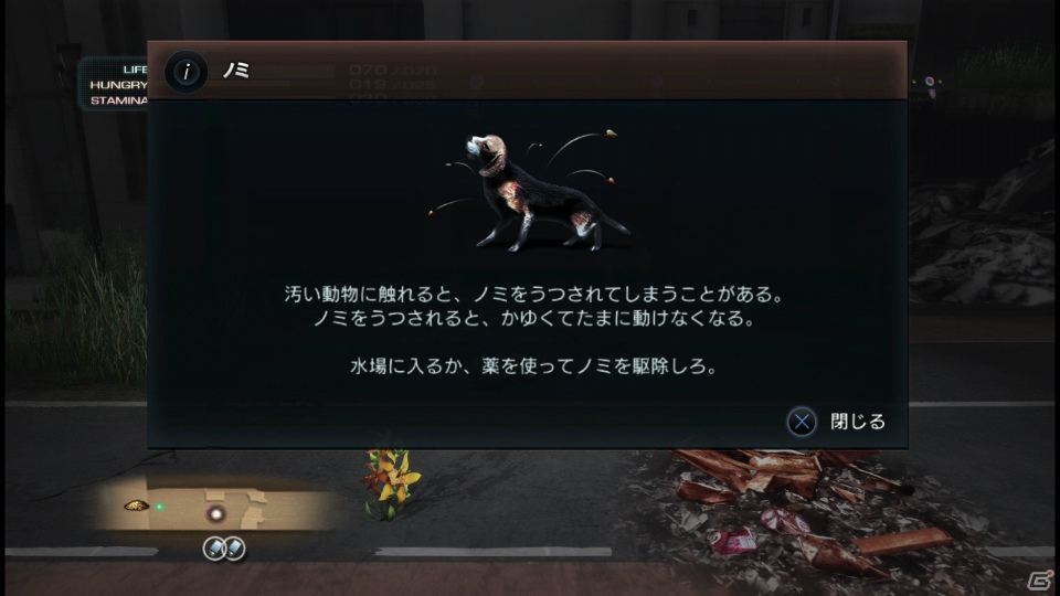 【サマゲー2012】PS3「TOKYO JUNGLE」人類が姿を消した東京で生き抜くサバイバルアクションを紹介！ポメだってテリアだってヒヨコだって凶暴なんだゾ！の画像139