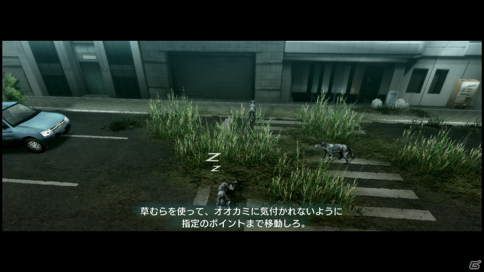 【サマゲー2012】PS3「TOKYO JUNGLE」人類が姿を消した東京で生き抜くサバイバルアクションを紹介！ポメだってテリアだってヒヨコだって凶暴なんだゾ！の画像14