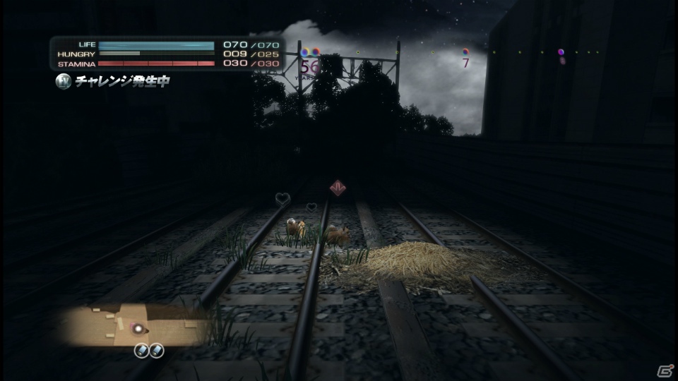 【サマゲー2012】PS3「TOKYO JUNGLE」人類が姿を消した東京で生き抜くサバイバルアクションを紹介！ポメだってテリアだってヒヨコだって凶暴なんだゾ！の画像141