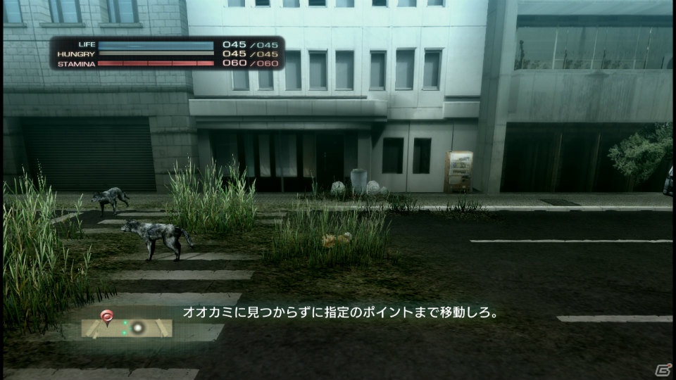 【サマゲー2012】PS3「TOKYO JUNGLE」人類が姿を消した東京で生き抜くサバイバルアクションを紹介！ポメだってテリアだってヒヨコだって凶暴なんだゾ！の画像16