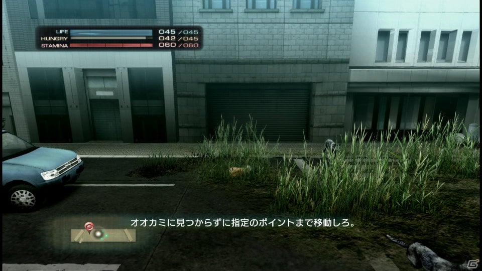 【サマゲー2012】PS3「TOKYO JUNGLE」人類が姿を消した東京で生き抜くサバイバルアクションを紹介！ポメだってテリアだってヒヨコだって凶暴なんだゾ！の画像19
