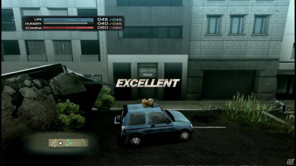 【サマゲー2012】PS3「TOKYO JUNGLE」人類が姿を消した東京で生き抜くサバイバルアクションを紹介！ポメだってテリアだってヒヨコだって凶暴なんだゾ！の画像20