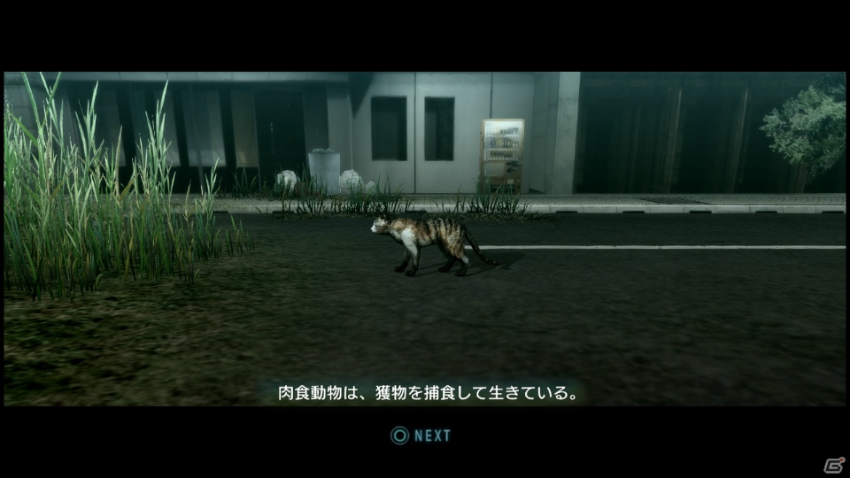 【サマゲー2012】PS3「TOKYO JUNGLE」人類が姿を消した東京で生き抜くサバイバルアクションを紹介！ポメだってテリアだってヒヨコだって凶暴なんだゾ！の画像22