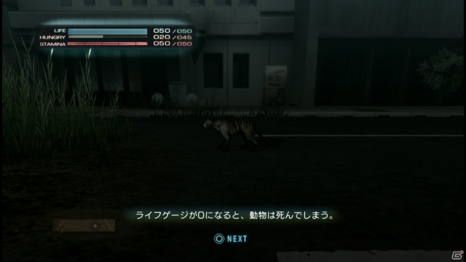 【サマゲー2012】PS3「TOKYO JUNGLE」人類が姿を消した東京で生き抜くサバイバルアクションを紹介！ポメだってテリアだってヒヨコだって凶暴なんだゾ！の画像23