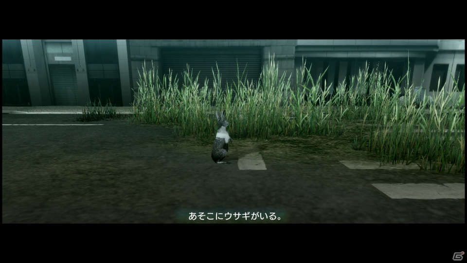 【サマゲー2012】PS3「TOKYO JUNGLE」人類が姿を消した東京で生き抜くサバイバルアクションを紹介！ポメだってテリアだってヒヨコだって凶暴なんだゾ！の画像24