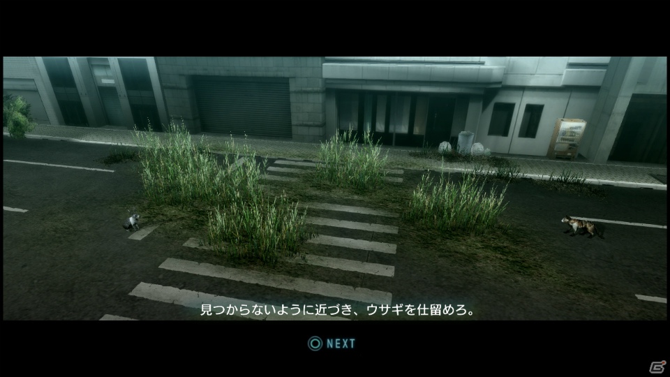 【サマゲー2012】PS3「TOKYO JUNGLE」人類が姿を消した東京で生き抜くサバイバルアクションを紹介！ポメだってテリアだってヒヨコだって凶暴なんだゾ！の画像25