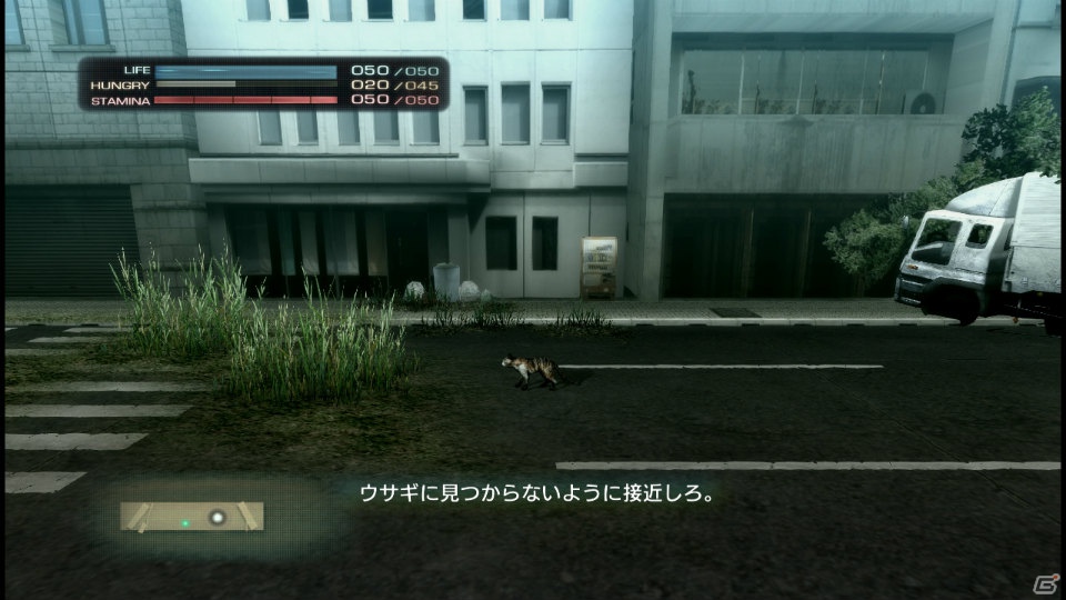 【サマゲー2012】PS3「TOKYO JUNGLE」人類が姿を消した東京で生き抜くサバイバルアクションを紹介！ポメだってテリアだってヒヨコだって凶暴なんだゾ！の画像26