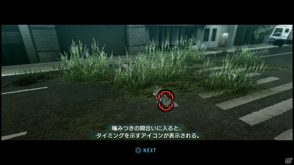 【サマゲー2012】PS3「TOKYO JUNGLE」人類が姿を消した東京で生き抜くサバイバルアクションを紹介！ポメだってテリアだってヒヨコだって凶暴なんだゾ！の画像27