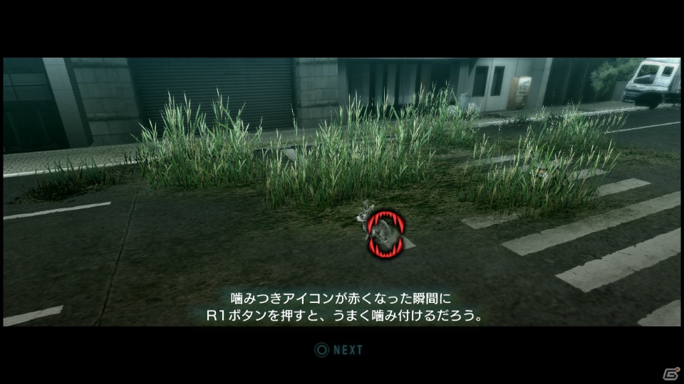 【サマゲー2012】PS3「TOKYO JUNGLE」人類が姿を消した東京で生き抜くサバイバルアクションを紹介！ポメだってテリアだってヒヨコだって凶暴なんだゾ！の画像28