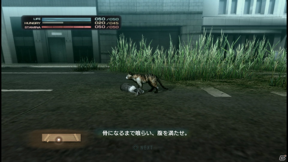 【サマゲー2012】PS3「TOKYO JUNGLE」人類が姿を消した東京で生き抜くサバイバルアクションを紹介！ポメだってテリアだってヒヨコだって凶暴なんだゾ！の画像31