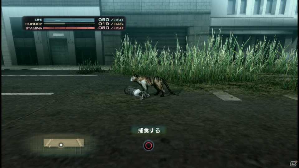 【サマゲー2012】PS3「TOKYO JUNGLE」人類が姿を消した東京で生き抜くサバイバルアクションを紹介！ポメだってテリアだってヒヨコだって凶暴なんだゾ！の画像32