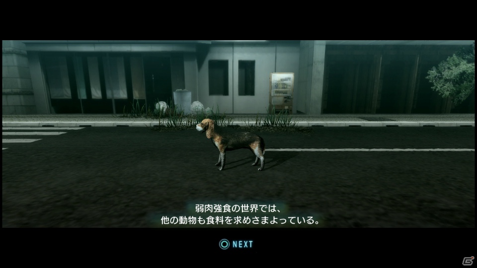 【サマゲー2012】PS3「TOKYO JUNGLE」人類が姿を消した東京で生き抜くサバイバルアクションを紹介！ポメだってテリアだってヒヨコだって凶暴なんだゾ！の画像35