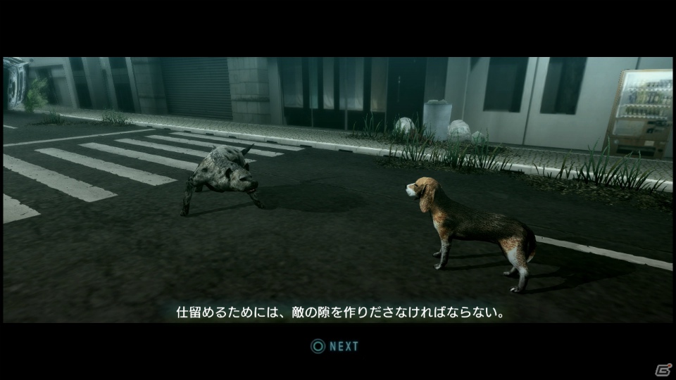 【サマゲー2012】PS3「TOKYO JUNGLE」人類が姿を消した東京で生き抜くサバイバルアクションを紹介！ポメだってテリアだってヒヨコだって凶暴なんだゾ！の画像37