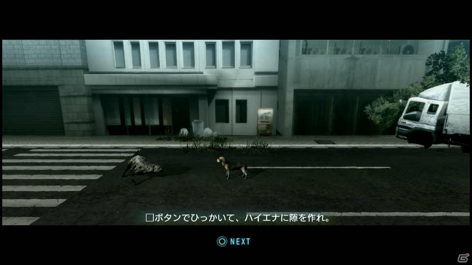 【サマゲー2012】PS3「TOKYO JUNGLE」人類が姿を消した東京で生き抜くサバイバルアクションを紹介！ポメだってテリアだってヒヨコだって凶暴なんだゾ！の画像38
