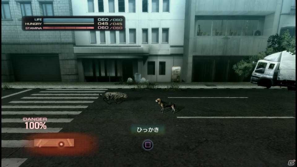 【サマゲー2012】PS3「TOKYO JUNGLE」人類が姿を消した東京で生き抜くサバイバルアクションを紹介！ポメだってテリアだってヒヨコだって凶暴なんだゾ！の画像39