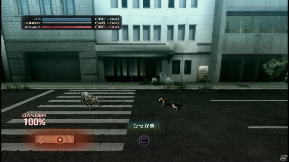 【サマゲー2012】PS3「TOKYO JUNGLE」人類が姿を消した東京で生き抜くサバイバルアクションを紹介！ポメだってテリアだってヒヨコだって凶暴なんだゾ！の画像40