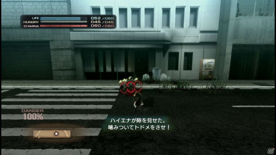 【サマゲー2012】PS3「TOKYO JUNGLE」人類が姿を消した東京で生き抜くサバイバルアクションを紹介！ポメだってテリアだってヒヨコだって凶暴なんだゾ！の画像42