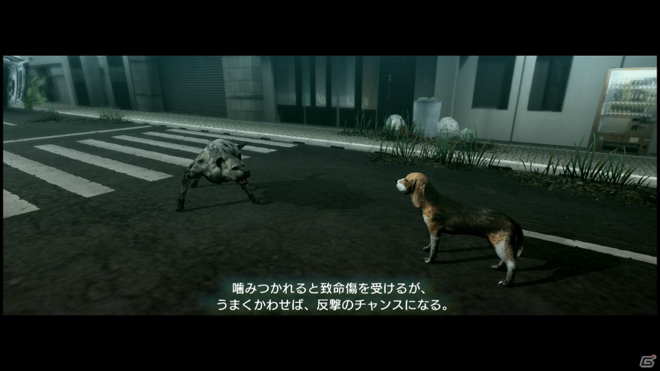 【サマゲー2012】PS3「TOKYO JUNGLE」人類が姿を消した東京で生き抜くサバイバルアクションを紹介！ポメだってテリアだってヒヨコだって凶暴なんだゾ！の画像45