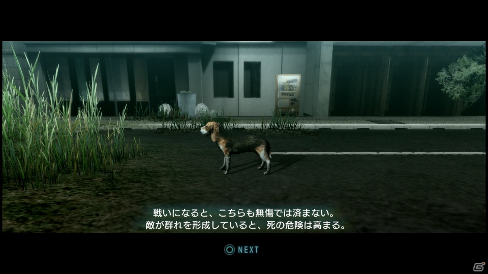 【サマゲー2012】PS3「TOKYO JUNGLE」人類が姿を消した東京で生き抜くサバイバルアクションを紹介！ポメだってテリアだってヒヨコだって凶暴なんだゾ！の画像49