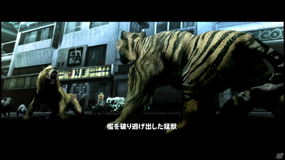 【サマゲー2012】PS3「TOKYO JUNGLE」人類が姿を消した東京で生き抜くサバイバルアクションを紹介！ポメだってテリアだってヒヨコだって凶暴なんだゾ！の画像5