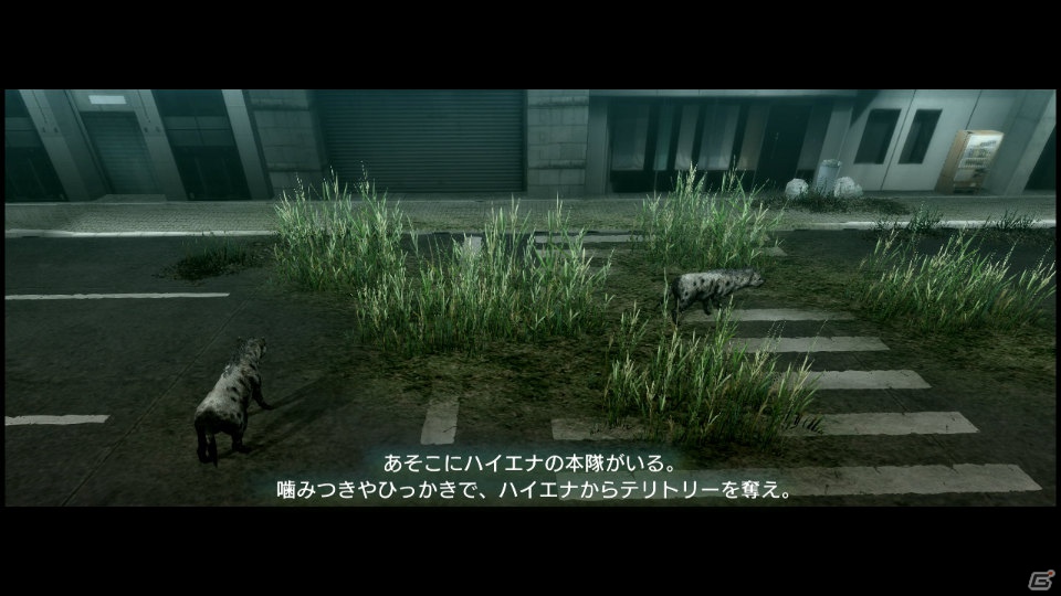 【サマゲー2012】PS3「TOKYO JUNGLE」人類が姿を消した東京で生き抜くサバイバルアクションを紹介！ポメだってテリアだってヒヨコだって凶暴なんだゾ！の画像50