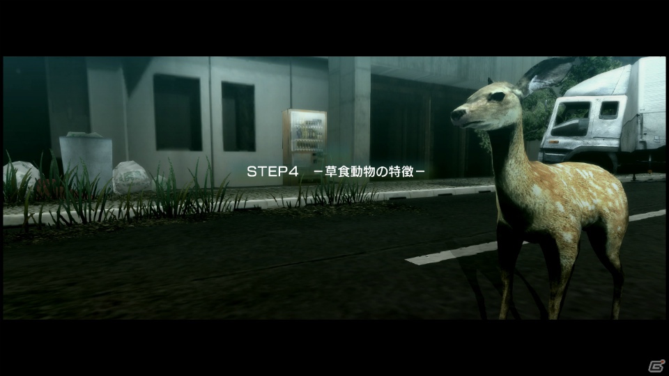 【サマゲー2012】PS3「TOKYO JUNGLE」人類が姿を消した東京で生き抜くサバイバルアクションを紹介！ポメだってテリアだってヒヨコだって凶暴なんだゾ！の画像53