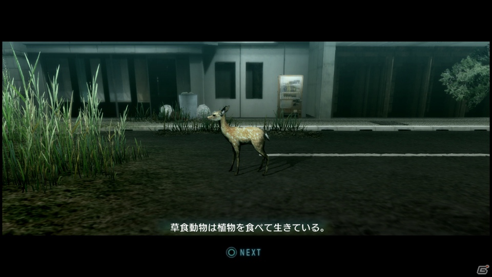 【サマゲー2012】PS3「TOKYO JUNGLE」人類が姿を消した東京で生き抜くサバイバルアクションを紹介！ポメだってテリアだってヒヨコだって凶暴なんだゾ！の画像54