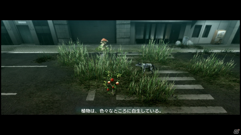 【サマゲー2012】PS3「TOKYO JUNGLE」人類が姿を消した東京で生き抜くサバイバルアクションを紹介！ポメだってテリアだってヒヨコだって凶暴なんだゾ！の画像55