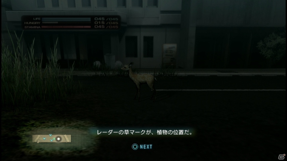 【サマゲー2012】PS3「TOKYO JUNGLE」人類が姿を消した東京で生き抜くサバイバルアクションを紹介！ポメだってテリアだってヒヨコだって凶暴なんだゾ！の画像56