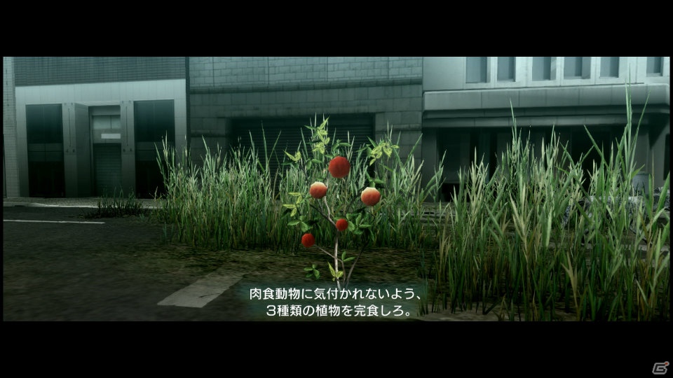 【サマゲー2012】PS3「TOKYO JUNGLE」人類が姿を消した東京で生き抜くサバイバルアクションを紹介！ポメだってテリアだってヒヨコだって凶暴なんだゾ！の画像57