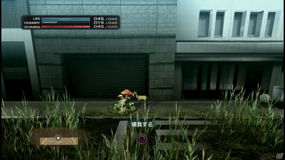 【サマゲー2012】PS3「TOKYO JUNGLE」人類が姿を消した東京で生き抜くサバイバルアクションを紹介！ポメだってテリアだってヒヨコだって凶暴なんだゾ！の画像58