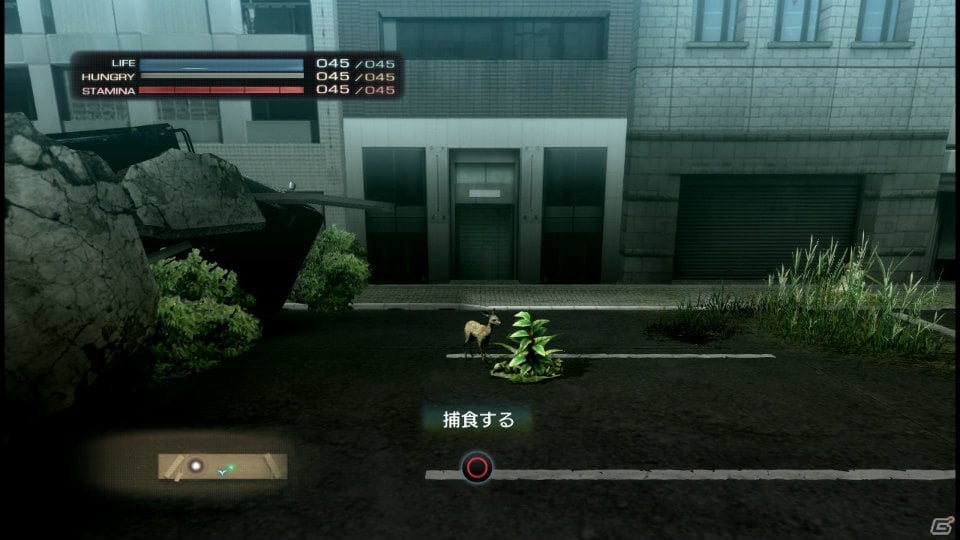 【サマゲー2012】PS3「TOKYO JUNGLE」人類が姿を消した東京で生き抜くサバイバルアクションを紹介！ポメだってテリアだってヒヨコだって凶暴なんだゾ！の画像59