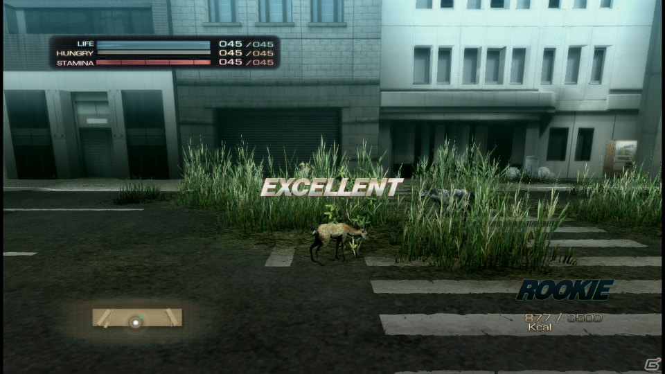 【サマゲー2012】PS3「TOKYO JUNGLE」人類が姿を消した東京で生き抜くサバイバルアクションを紹介！ポメだってテリアだってヒヨコだって凶暴なんだゾ！の画像60