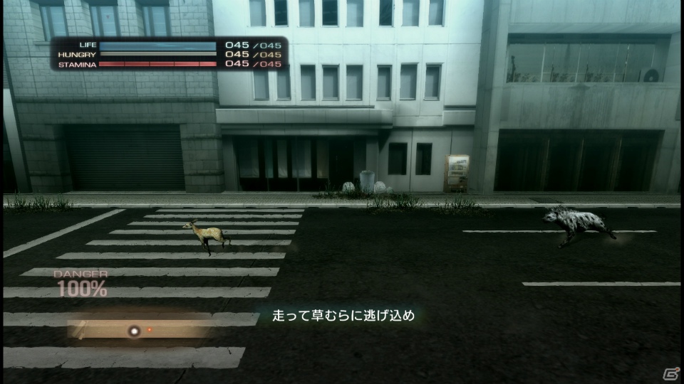 【サマゲー2012】PS3「TOKYO JUNGLE」人類が姿を消した東京で生き抜くサバイバルアクションを紹介！ポメだってテリアだってヒヨコだって凶暴なんだゾ！の画像63