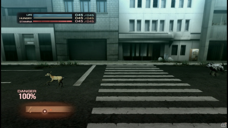 【サマゲー2012】PS3「TOKYO JUNGLE」人類が姿を消した東京で生き抜くサバイバルアクションを紹介！ポメだってテリアだってヒヨコだって凶暴なんだゾ！の画像64