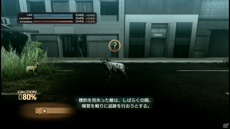 【サマゲー2012】PS3「TOKYO JUNGLE」人類が姿を消した東京で生き抜くサバイバルアクションを紹介！ポメだってテリアだってヒヨコだって凶暴なんだゾ！の画像66
