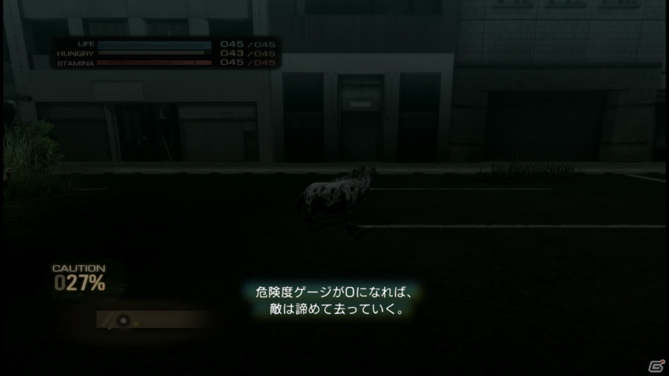 【サマゲー2012】PS3「TOKYO JUNGLE」人類が姿を消した東京で生き抜くサバイバルアクションを紹介！ポメだってテリアだってヒヨコだって凶暴なんだゾ！の画像67