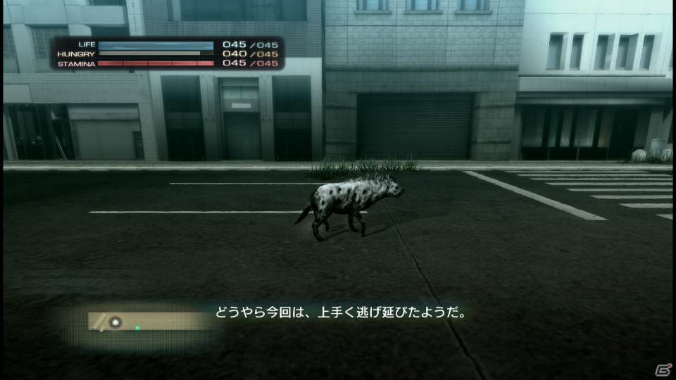 【サマゲー2012】PS3「TOKYO JUNGLE」人類が姿を消した東京で生き抜くサバイバルアクションを紹介！ポメだってテリアだってヒヨコだって凶暴なんだゾ！の画像68