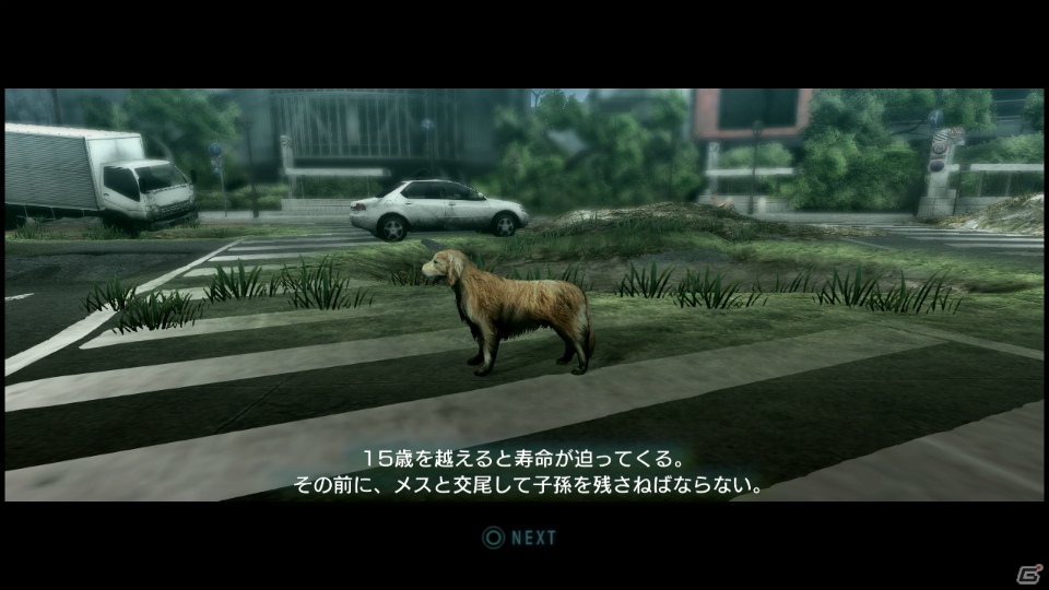 【サマゲー2012】PS3「TOKYO JUNGLE」人類が姿を消した東京で生き抜くサバイバルアクションを紹介！ポメだってテリアだってヒヨコだって凶暴なんだゾ！の画像70