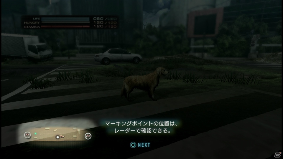 【サマゲー2012】PS3「TOKYO JUNGLE」人類が姿を消した東京で生き抜くサバイバルアクションを紹介！ポメだってテリアだってヒヨコだって凶暴なんだゾ！の画像72
