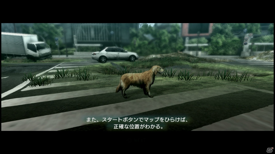 【サマゲー2012】PS3「TOKYO JUNGLE」人類が姿を消した東京で生き抜くサバイバルアクションを紹介！ポメだってテリアだってヒヨコだって凶暴なんだゾ！の画像73