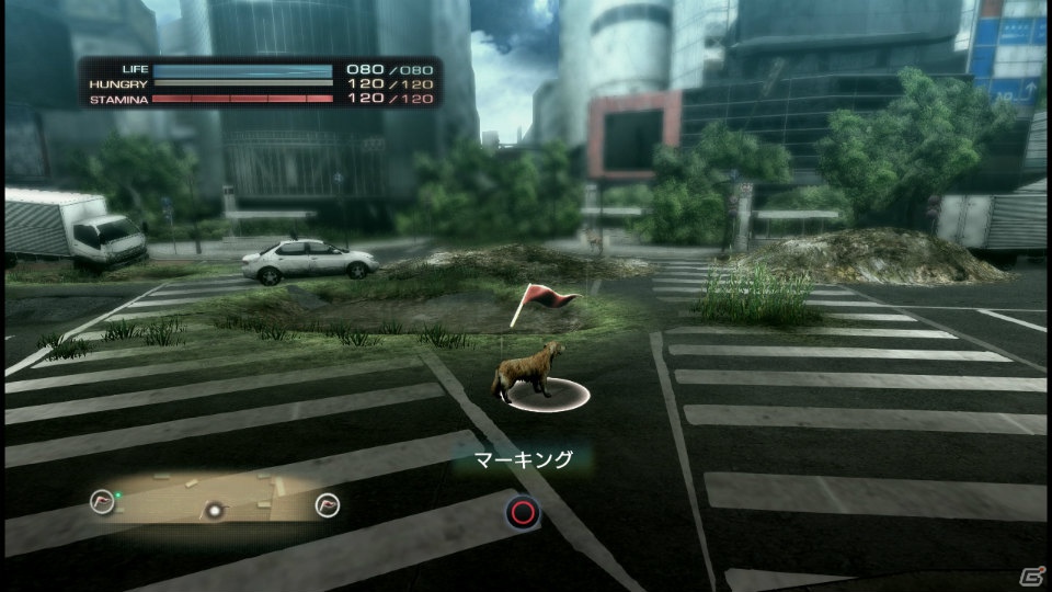 【サマゲー2012】PS3「TOKYO JUNGLE」人類が姿を消した東京で生き抜くサバイバルアクションを紹介！ポメだってテリアだってヒヨコだって凶暴なんだゾ！の画像76